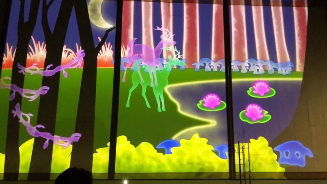 Napa Lighted Art Festival